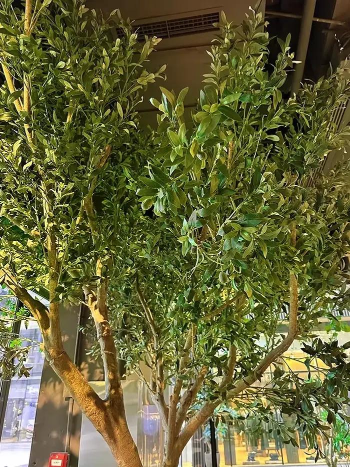 Olivier artificiel, grande plante verte bionique du sol au plafond, décoration paysagère intérieure 