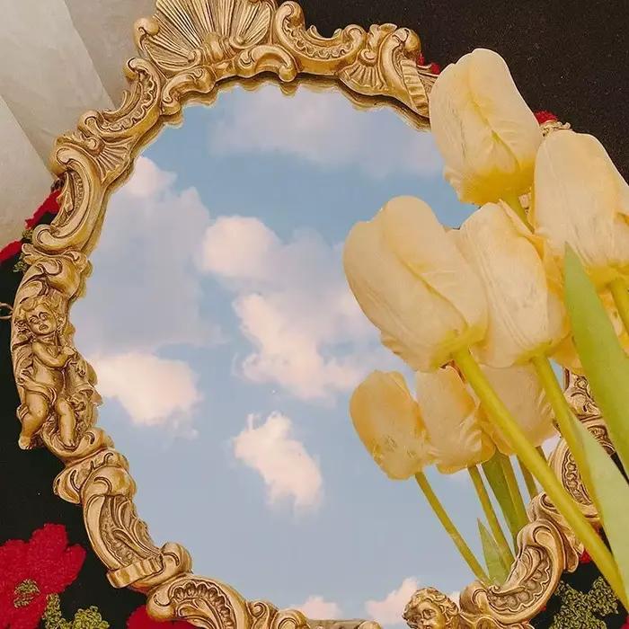 Miroir de maquillage sculpté de luxe léger