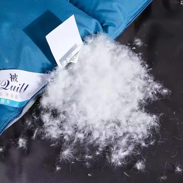 Couette en duvet de canard d'oie blanche