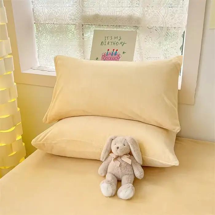 Simple lait polaire chaud automne hiver housse de couette ensemble 220x240 doux moelleux reine