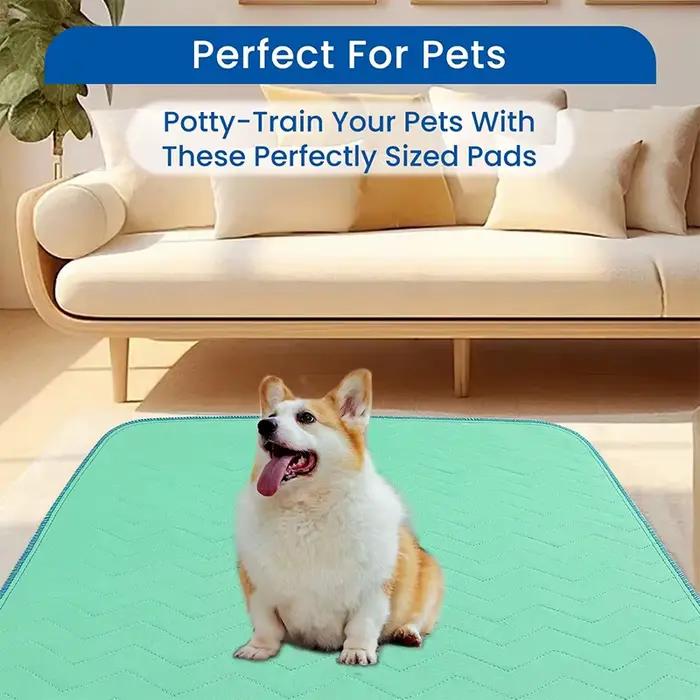 Protège-draps lavables pour animaux de compagnie
