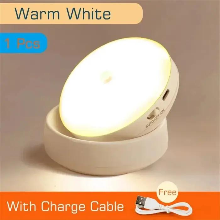 LED veilleuse USB charge intelligente Induction humaine pour armoire de chevet maison garde-robe éclairage capteur de mouvement lumière lampe à LED