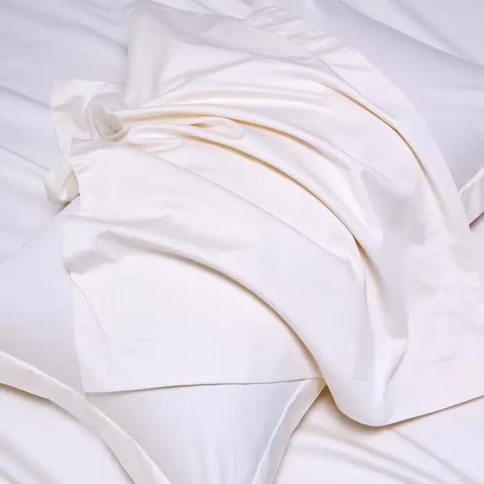 Parure de draps de luxe en coton égyptien haut de gamme 1000TC