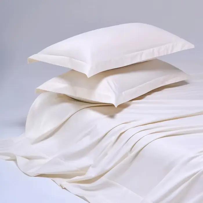 Parure de draps de luxe en coton égyptien haut de gamme 1000TC